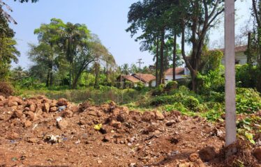 Plot for sale at Sangolda