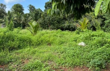 Plot in Salvador do Mundo, North Goa.