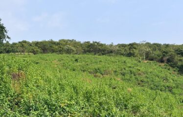 Plot for sale in Mopa.