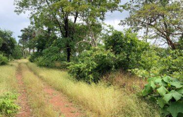 Plot for sale in Tivim.