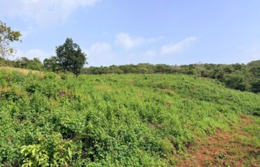 Plot for sale in Mopa.