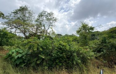 Plot for sale in Tivim.