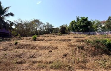 Plot for sale in Corjuem.