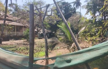 Plot for sale in Calangute.