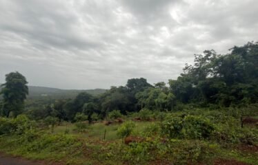 Scenic Agricultural Land for Sale in Tendoli, Maharashtra.