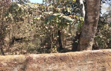 Plot for sale in Tivim.