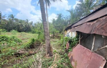 🏡 HOUSE WITH PLOT FOR SALE – CORJUEM, GOA 🏡