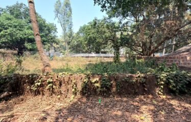 Plot for sale at Siolim.