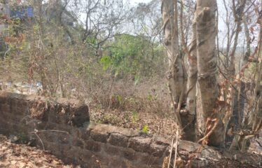 Plot for sale in Nachinola.