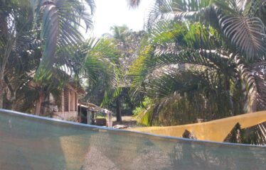 Plot for sale in Calangute.