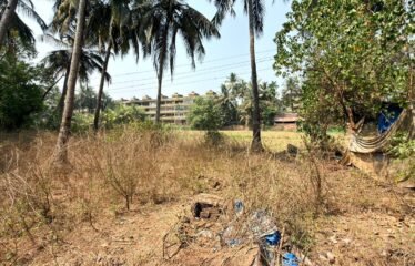 Plot for sale in Oxel Siolim.