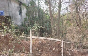 Plot for sale in Nachinola.