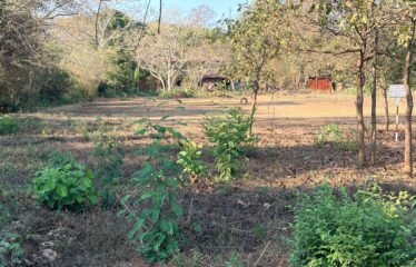Premium Development Land for Sale – Ucassaim, Goa.