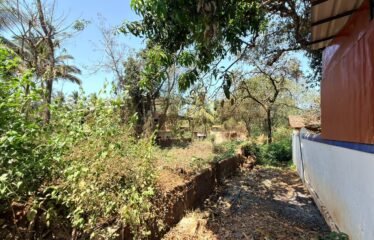Settlement Plot for Sale – Siolim, North Goa.