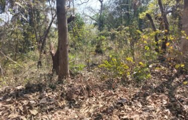 Plot for sale in Tivim.