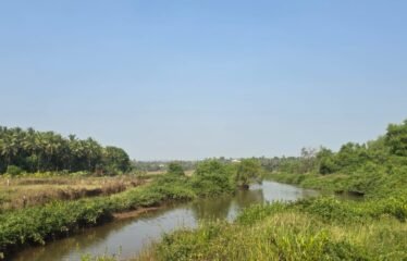 Plot for sale in Corjuem.