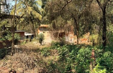 Settlement Plot for Sale – Siolim, North Goa.