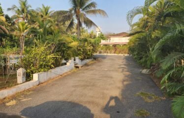 Apartment flat for sale at Chorao.