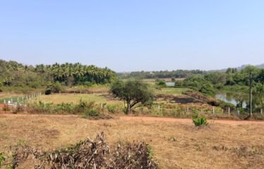 Plot for sale in Corjuem.