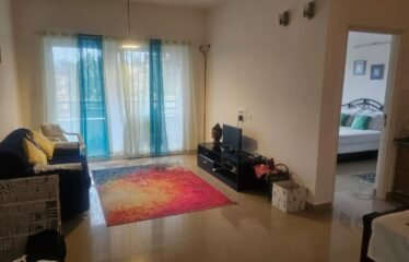 1 BHK Flat for Rent in Arpora, Goa. (Rented out)