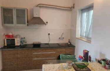 1 BHK Flat for Rent in Arpora, Goa. (Rented out)