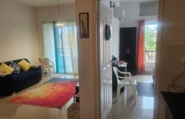 1 BHK Flat for Rent in Arpora, Goa. (Rented out)