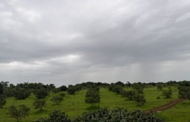 Plot for Sale – Tendoli, Maharashtra