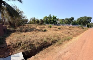 Plot for sale in Corjuem.