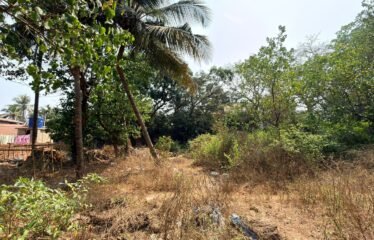 Plot for sale in Oxel Siolim.