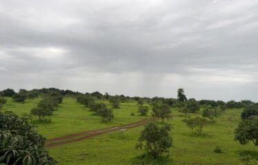 Plot for Sale – Tendoli, Maharashtra