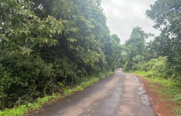 Scenic Agricultural Land for Sale in Tendoli, Maharashtra.
