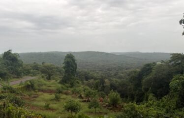 Scenic Agricultural Land for Sale in Tendoli, Maharashtra.