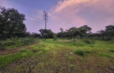PLOT FOR SALE IN SUCCOR.