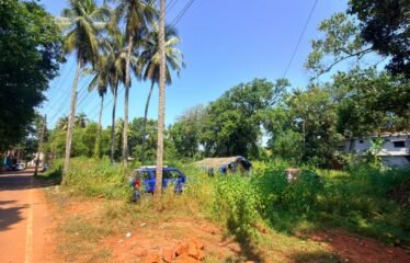 Plot for Sale in Morjim.