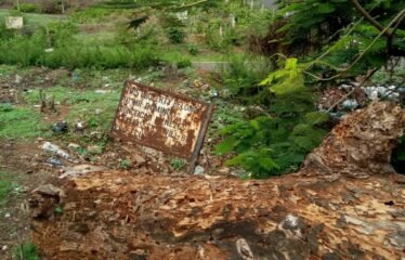 COMMERCIAL PLOT FOR SALE IN DONA PAULA.
