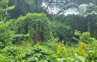 PLOT FOR SALE IN UCCASAIM.