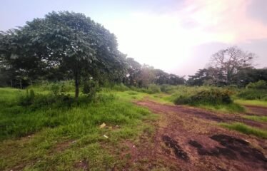PLOT FOR SALE IN SUCCOR.